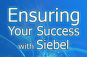 Ensuring Your Success with Siebel